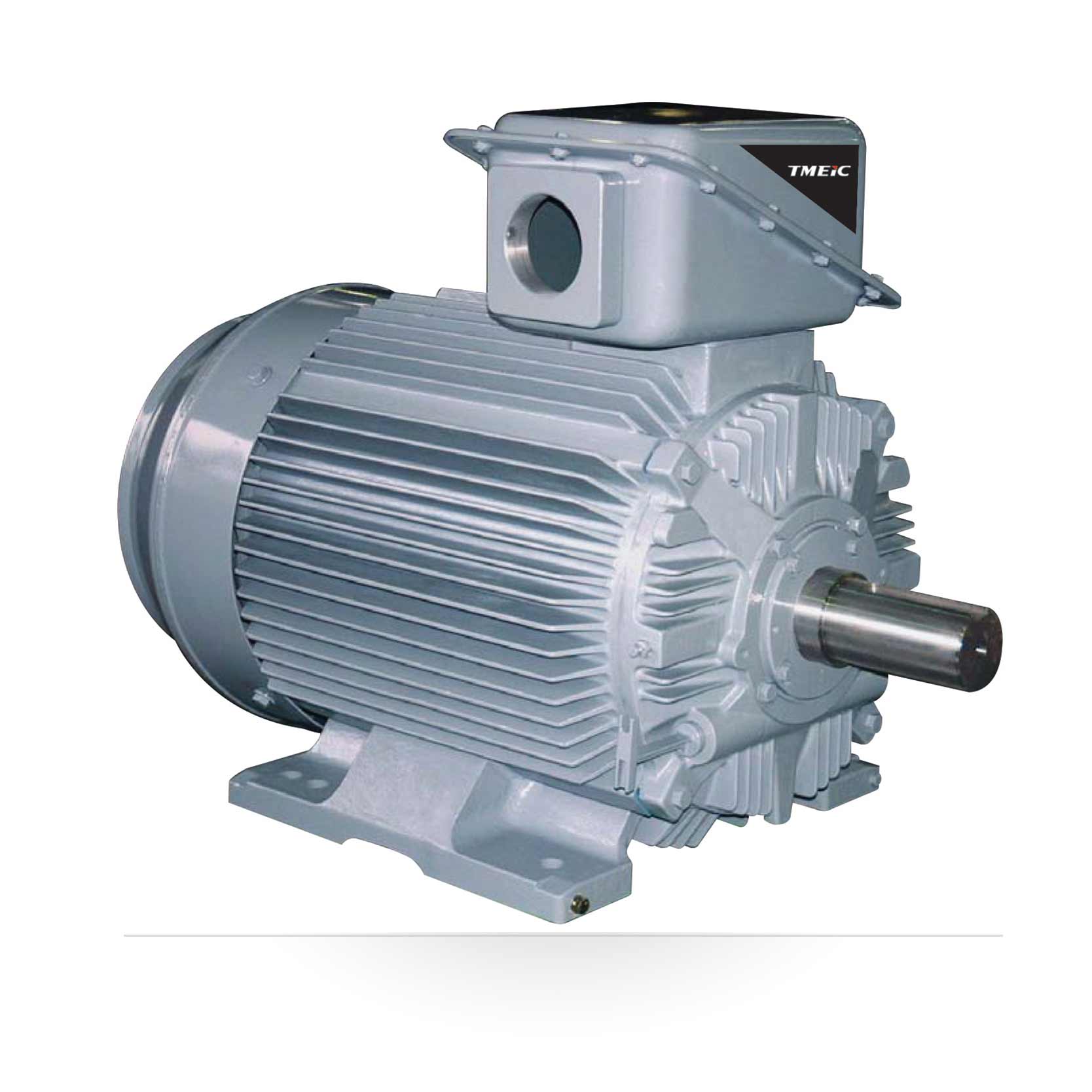 Motor Serie Tm21 Fii Motores Tmeic